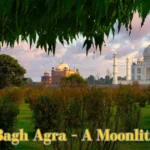 Mehtab Bagh Agra – A Moonlit Paradise You Must Not Miss