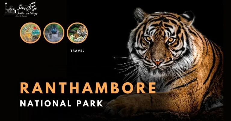 Read more about the article Information About Ranthambore National Park – Best Tiger Safari in India