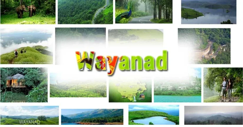 Best Honeymoon Places In Wayanad