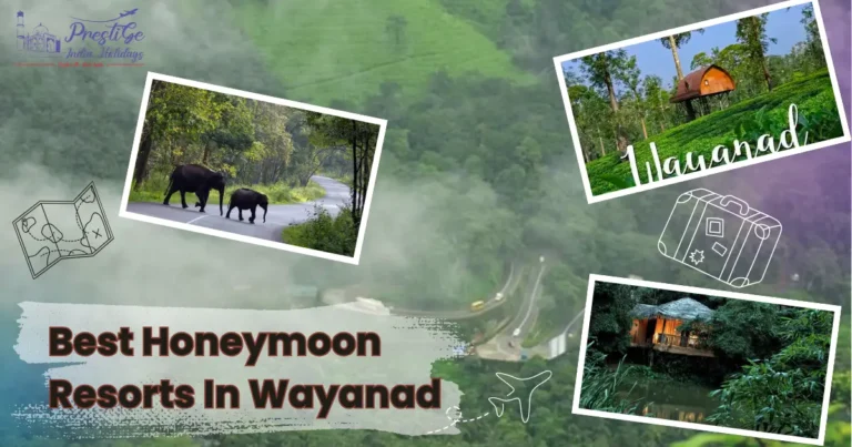 Read more about the article Best Honeymoon Resorts In Wayanad – A Paradise for Couples