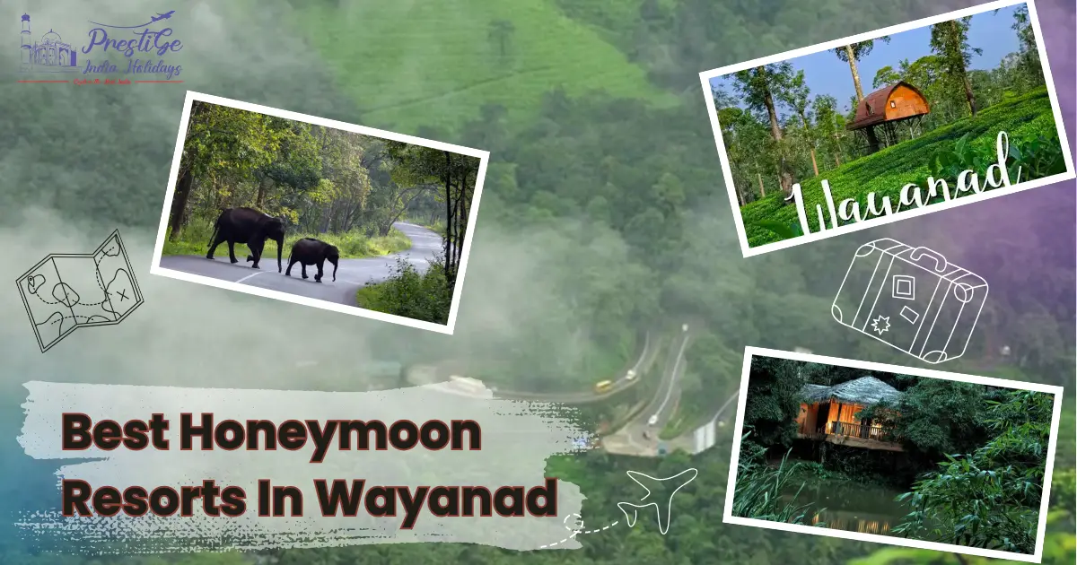Best Honeymoon Resorts In Wayanad